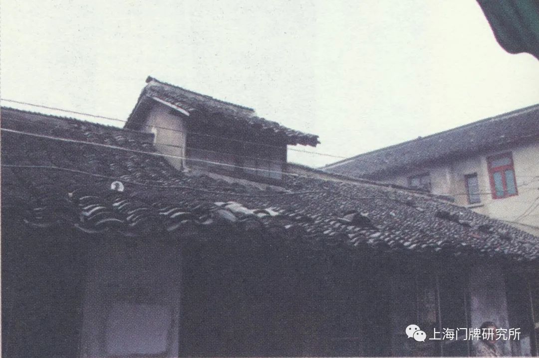 车影行踪30:莘庄"小三线":莘吴,莘车,莘龙线简史