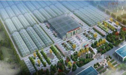 绿满城乡秀美临朐辛寨街道篇风劲帆满图新志砥砺奋进谱新篇