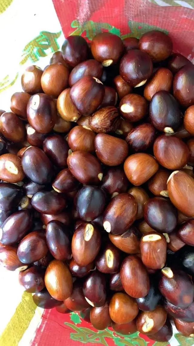 杜阮上巷凤眼果火热上市,快来"寻味"蓬江!