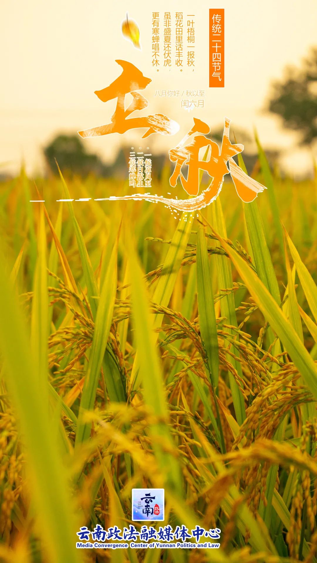 立秋我们迎来了秋天的第一个节气2020年8月7日