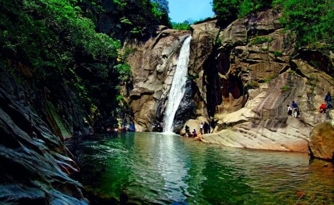 十八潭十八潭→金嶺村大悟縣目前園區已開放旅遊觀光項目有百萬櫻花園