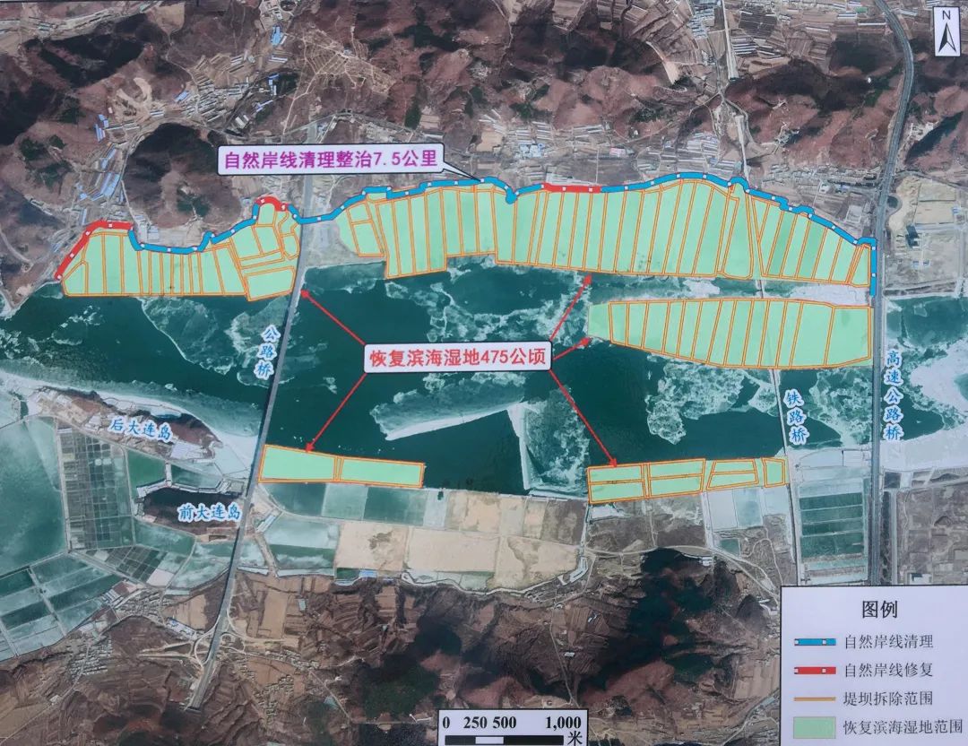 2020长兴岛gdp_再见2020你好2021图片