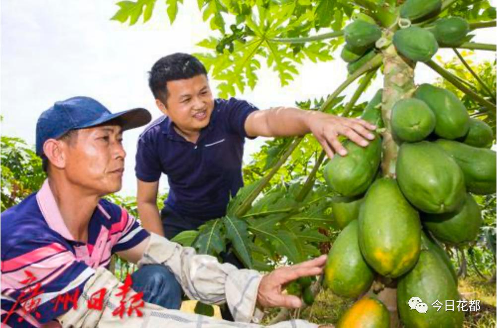 毕业于广东技术师范学院的85后朱小毅,8年前成为花都