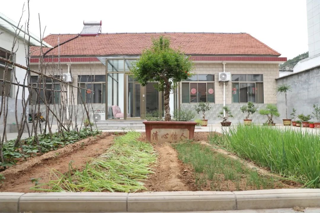 东北乡东前岭村)高学军家庭(临朐县蒋峪镇刘家营村)陈安欣家庭(临朐县