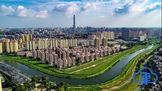 津云| 荒地变花海!西青区中北镇南运河两岸花田项目对外开放