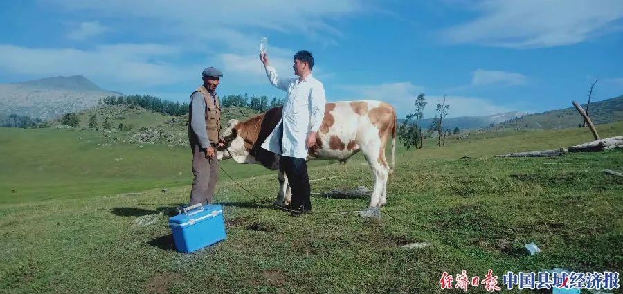 80后老兽医平凡岗位显担当