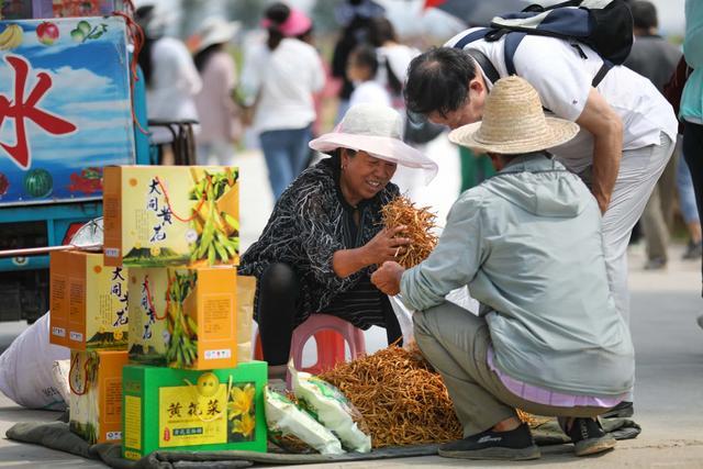 大同市云州区贺店村人口_大同市云州区火山图片