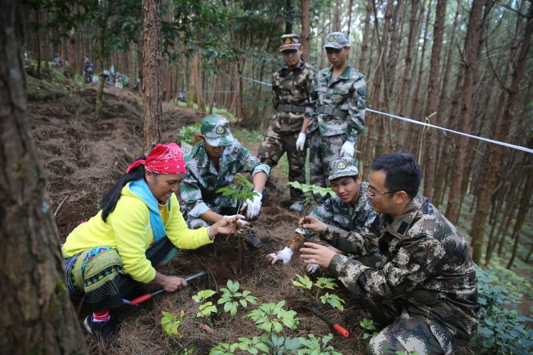 《光明日报》刊文!这项"金不换"的科研成果为何要免费与企业合作