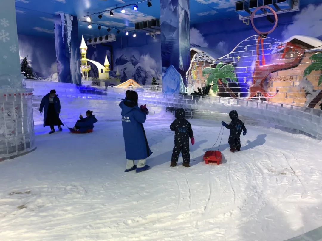 夏日遛娃好去处快来青浦这个冰雪世界清凉一夏