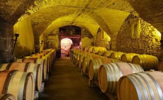在法国读葡萄酒专业：除了天天喝酒，我还学会了啥？