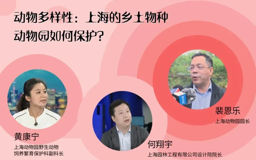 园林工程有限公司设计院院长裴恩乐上海动物园园长本期主讲内容摘要