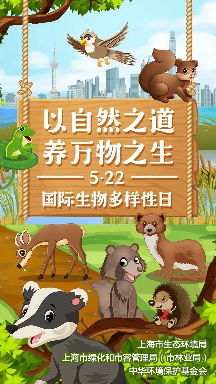 生物多樣性雲課堂 | 動物多樣性:上海的鄉土物種,動物園如何保護?