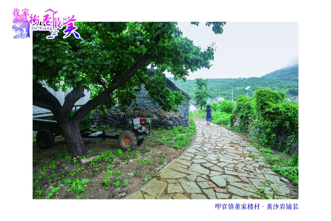 我家街巷最美系列展示日照市五莲县叩官镇董家楼村