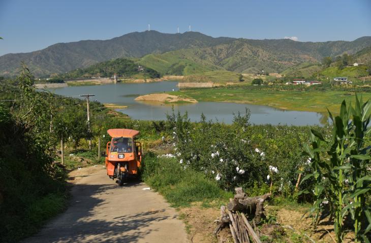 今年的软籽石榴来自凉山彝族自治州会理县以及攀枝花的大田镇两个产区
