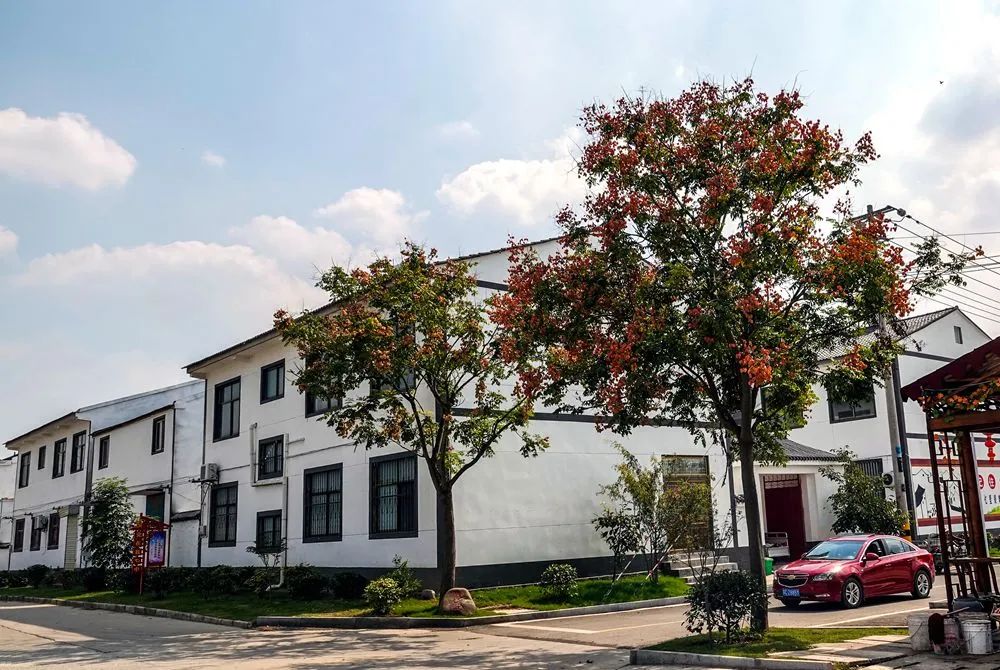 精细赋彩由点及面强气质在改善村容村貌的基础上,沙庄村注重文化涵养