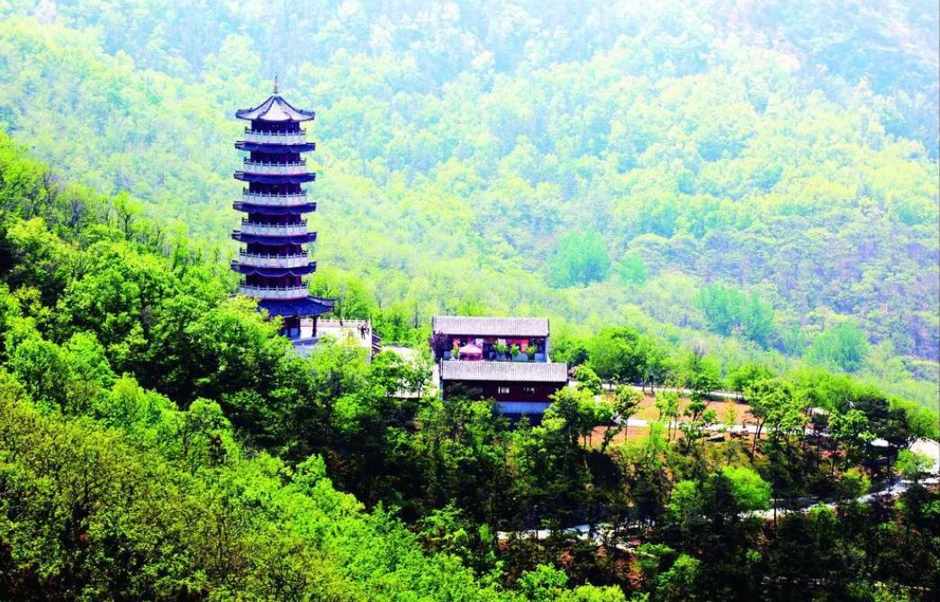 莱州文明行为十二时辰你都做到了吗