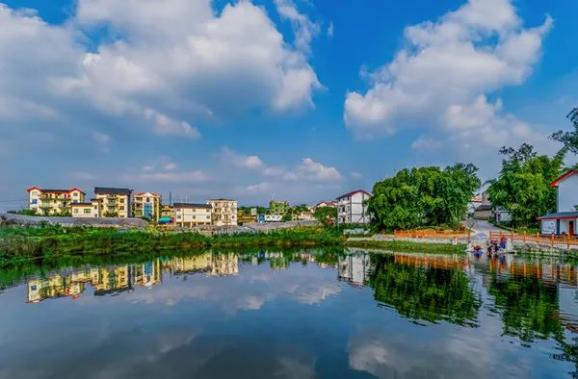 九龙坡7个村入选市首批美丽宜居乡村