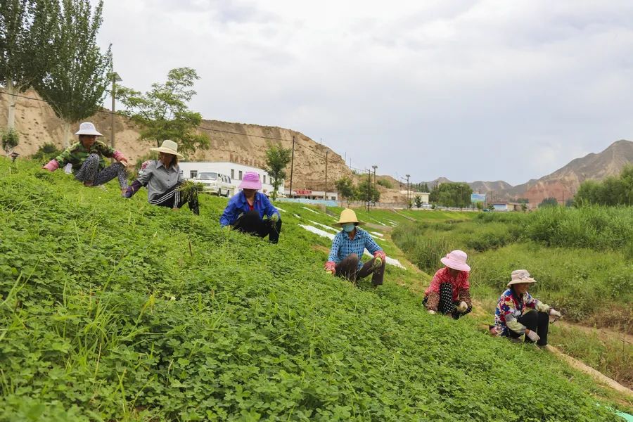 生态治理属于民生问题吗 882.jpg