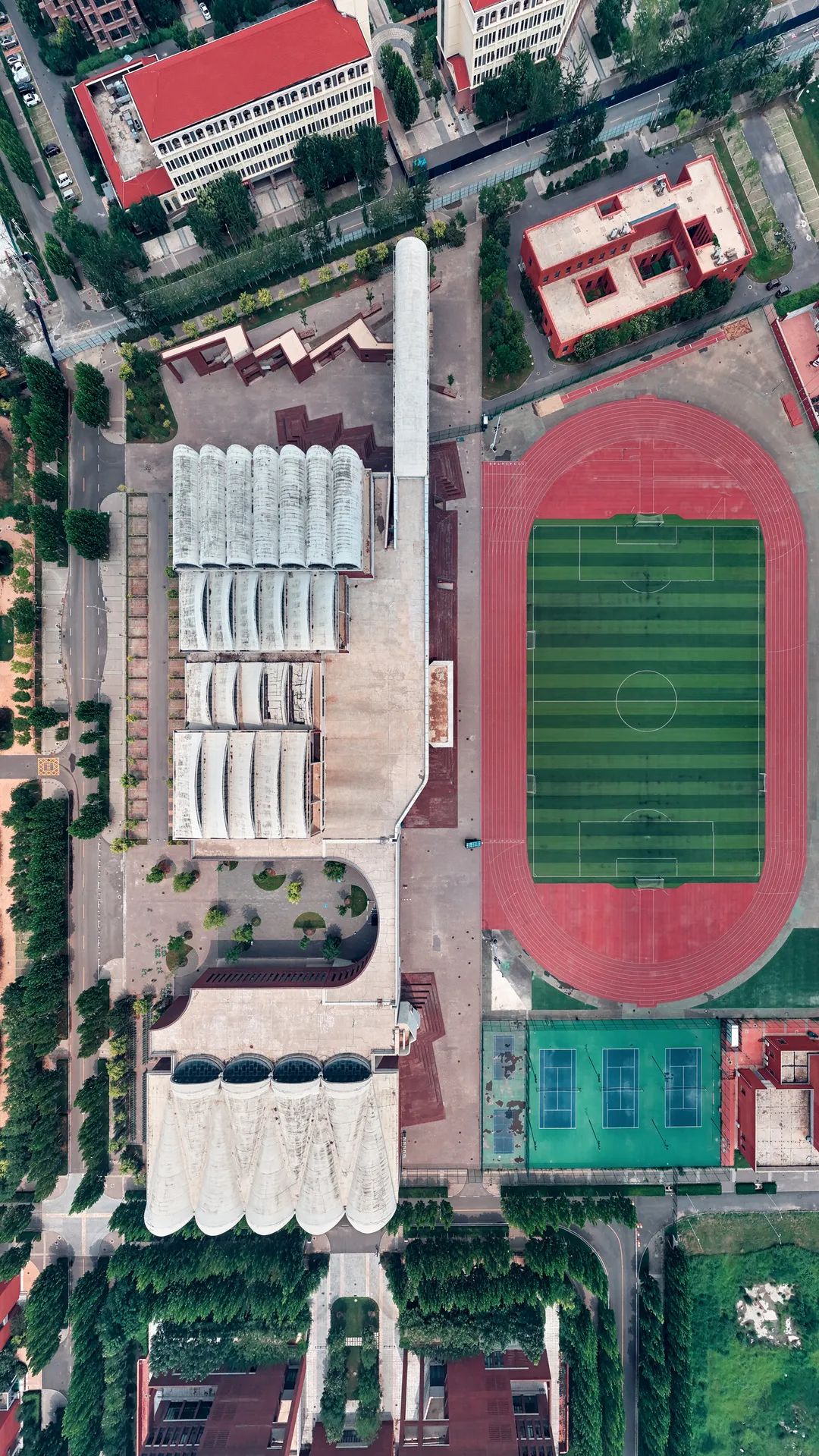 航拍天大这北洋园是否是你心目中的模样