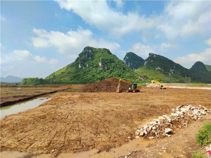 做大做强地方经济总量蛋糕_做大做强图片