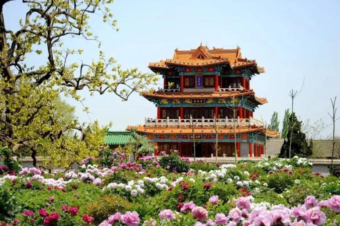 枣菏高速正式通车穿行三市这些美景等你来打卡