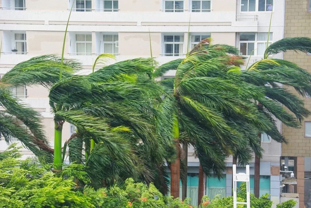 防范台风的正确姿势