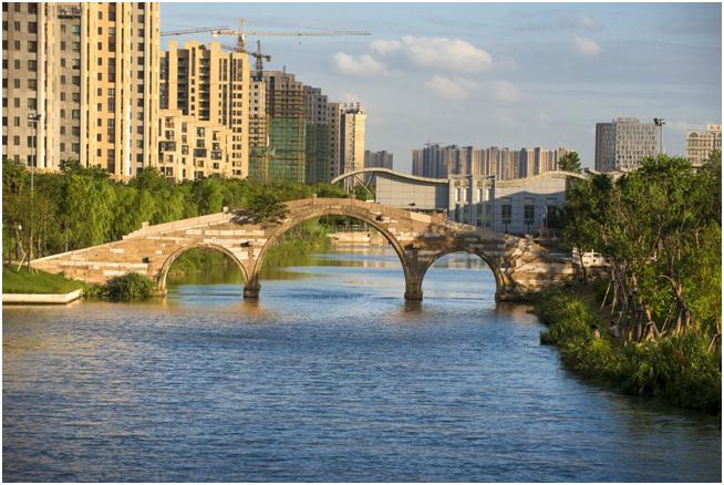 八月晚夏蝉鸣声,一起去嘉定星级河道邂逅捕声