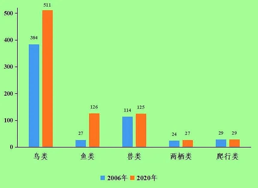 五花八门的造句怎么写_五花八门造句怎么造_五花八门造句