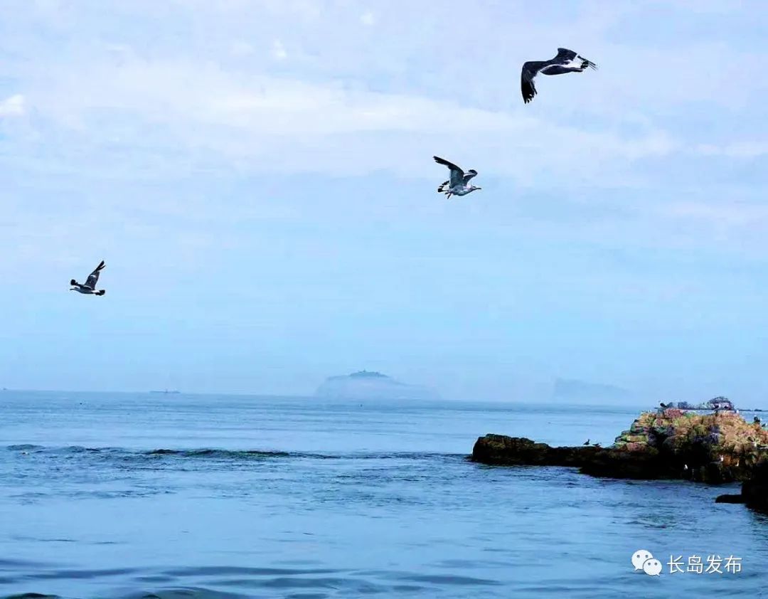 令人向往:去海边，去旅游