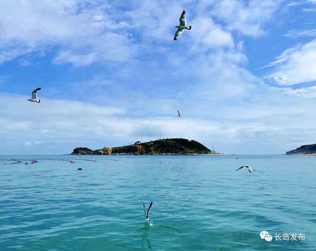 海边旅行必备物品_海边出行必备物品清单_海螺许愿