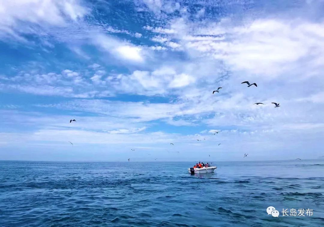 海边旅行必备物品_海螺许愿_海边出行必备物品清单