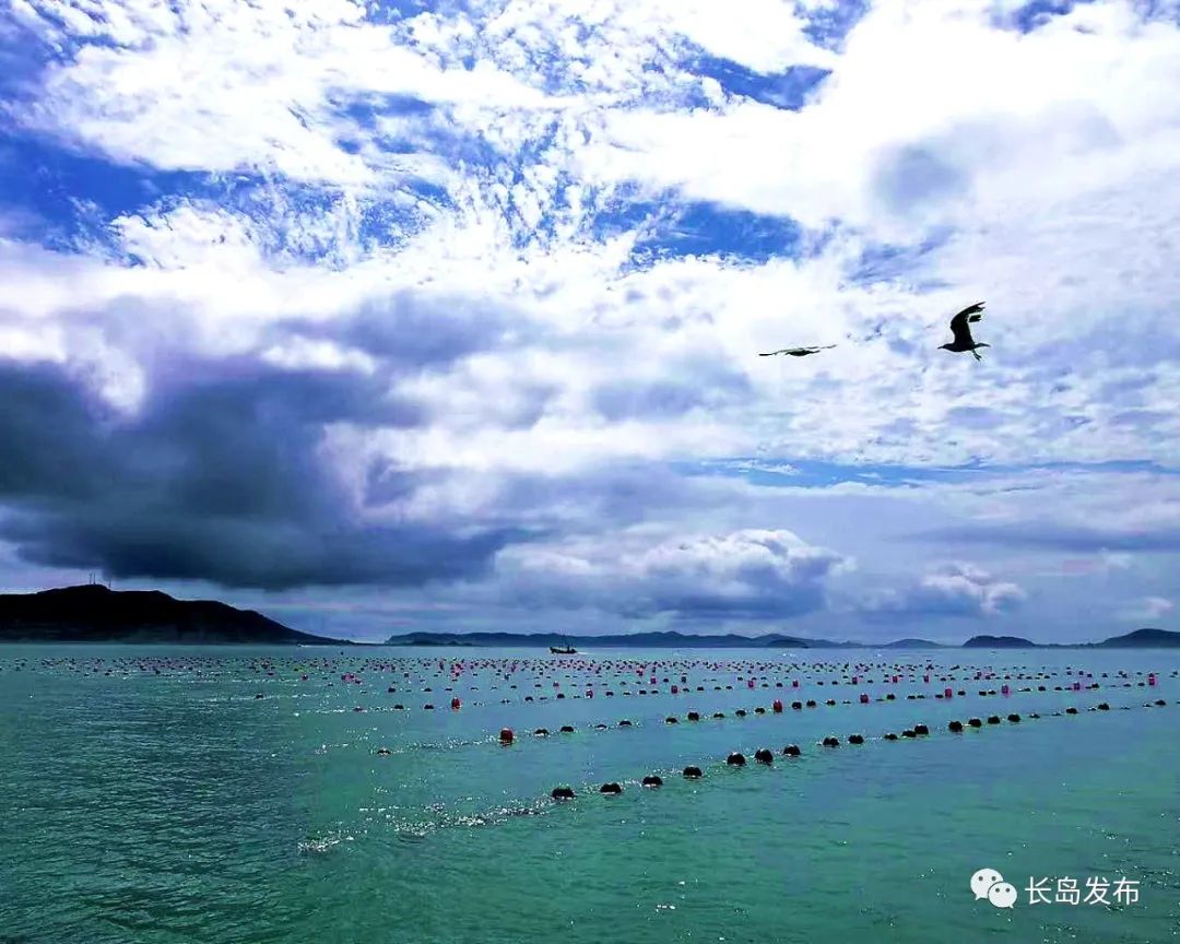 海边旅行必备物品_海边出行必备物品清单_海螺许愿