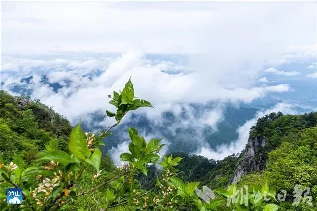 全域旅游看通山 九宫山游客激增 宾馆员工打地铺 将床铺让与客人