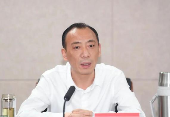 市委常委,常务副市长蔡清平参加会议.