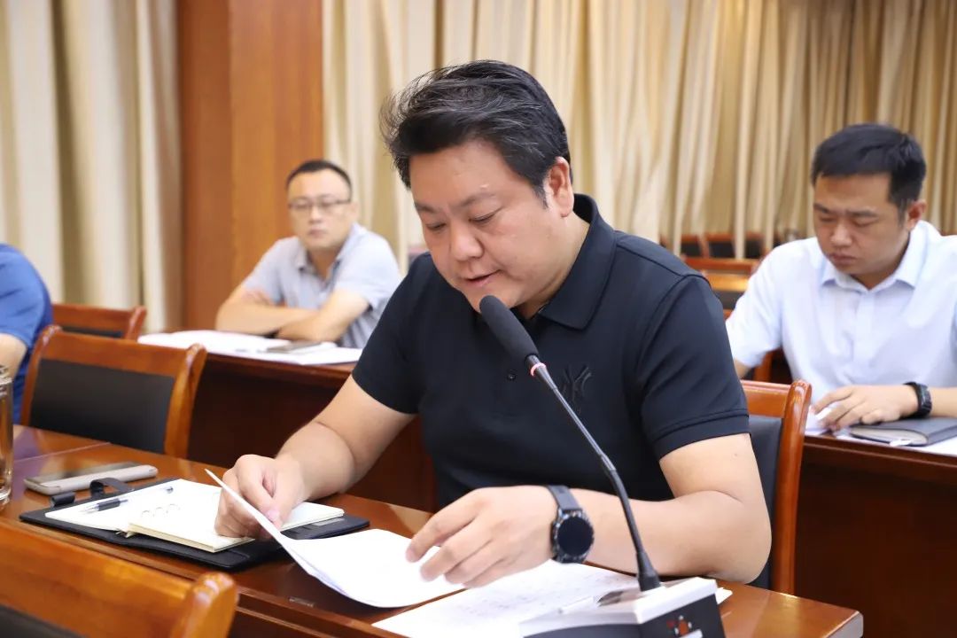 存在问题及下一步工作谋划,和村镇,义井镇,彭城镇,临水镇依次汇报了
