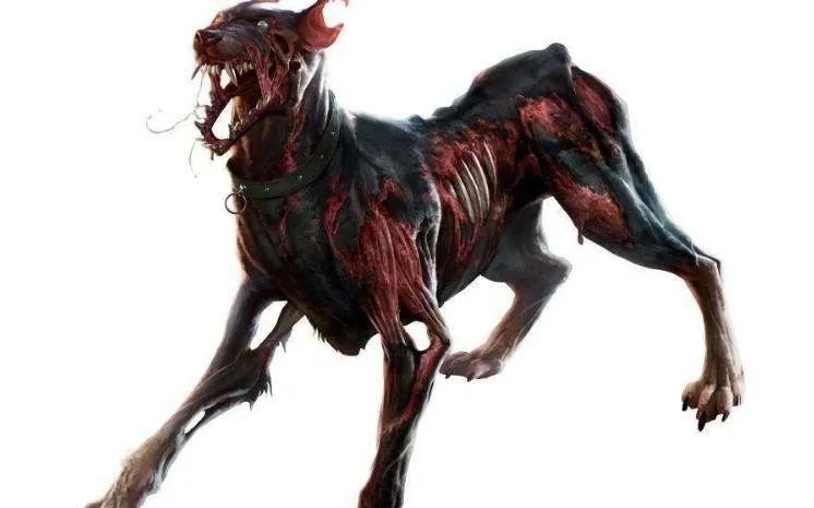 《生化危机》中的生化恶犬比如传说中的地狱犬就是以杜宾为原型这种