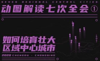 动图解读七次全会①丨如何培育壮大区域中心城市