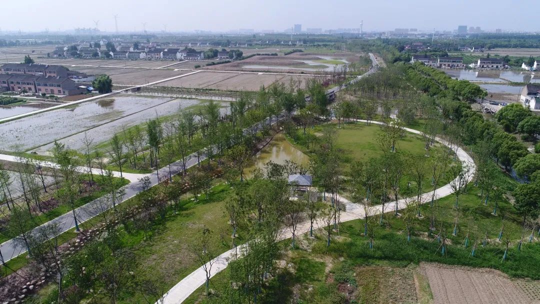 云水诗画般的奉贤庄行农艺公园你不想去走一走吗