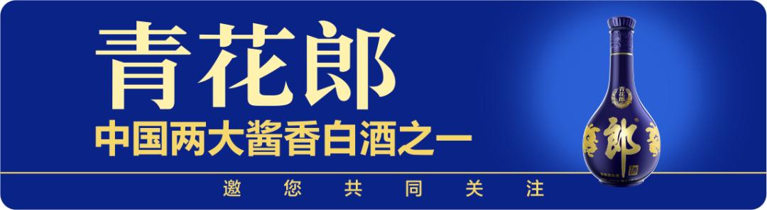 泸州长江大桥项目图片