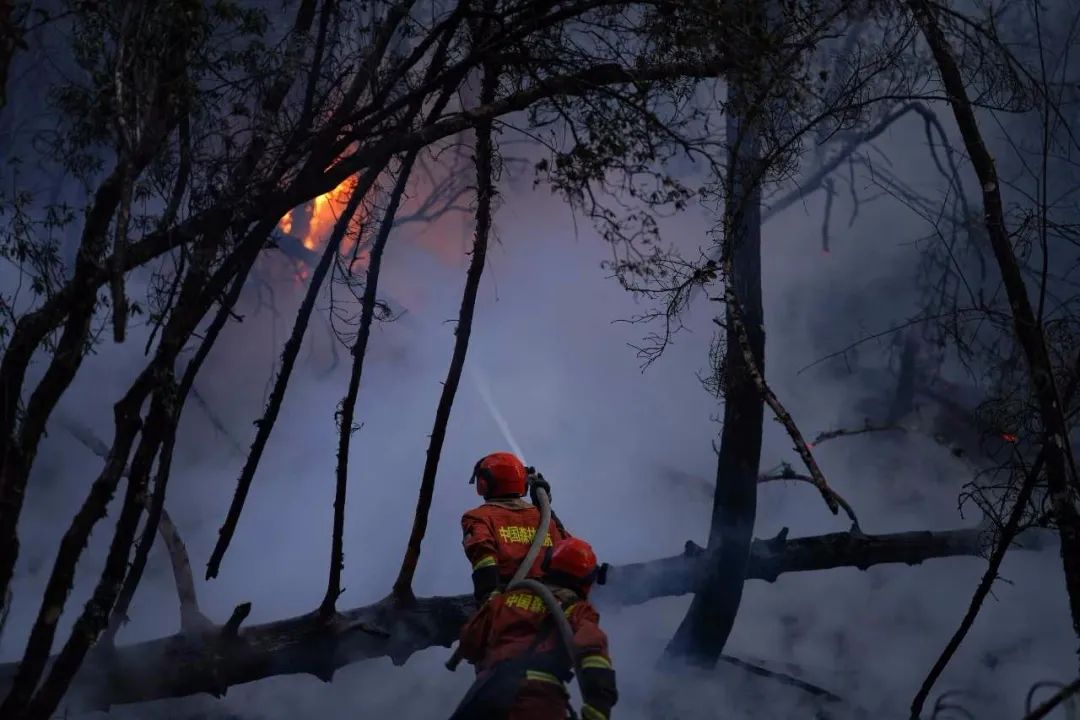 新特装备森林消防救援战场上的好兄弟