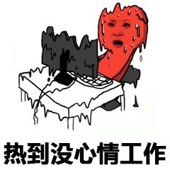 213.jpg
