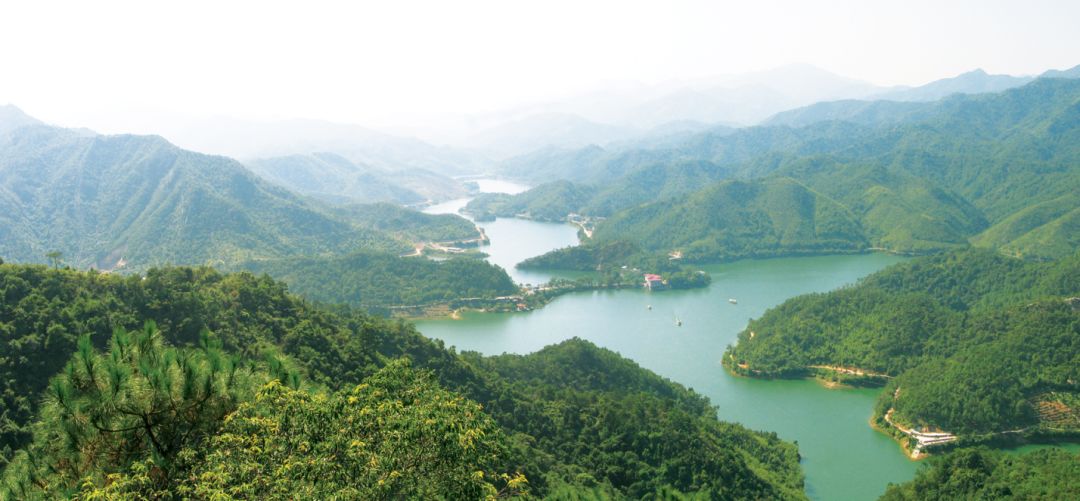 鼎湖区凤凰镇九坑河水库.