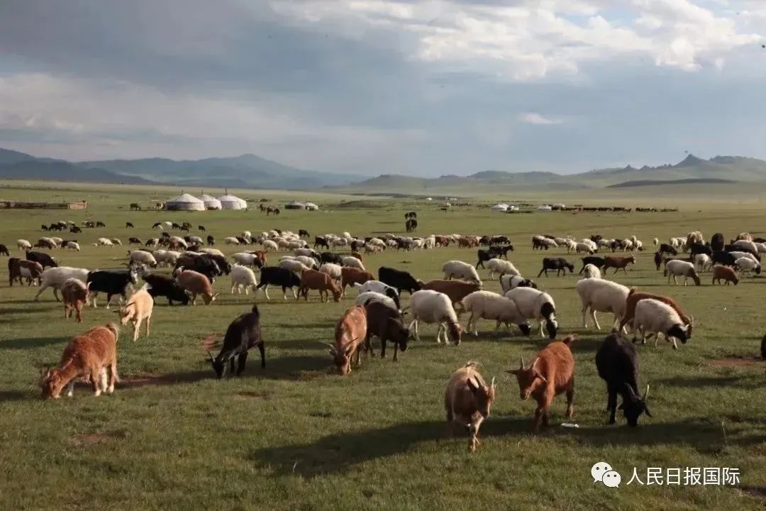 临潭羊沙人口_临潭地图