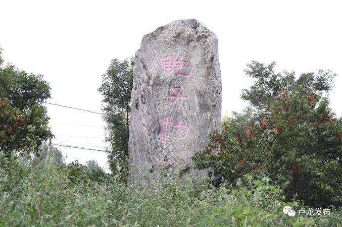 鲍子沟的葡萄熟了,约起来吧!