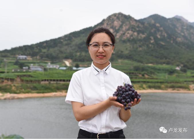 鲍子沟的葡萄熟了,约起来吧!