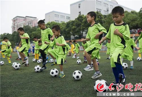 株洲市荷塘区2020gdp_株洲市荷塘区图片(2)