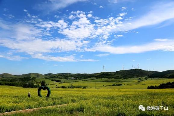 碾子山万亩油菜花海,美翻了!