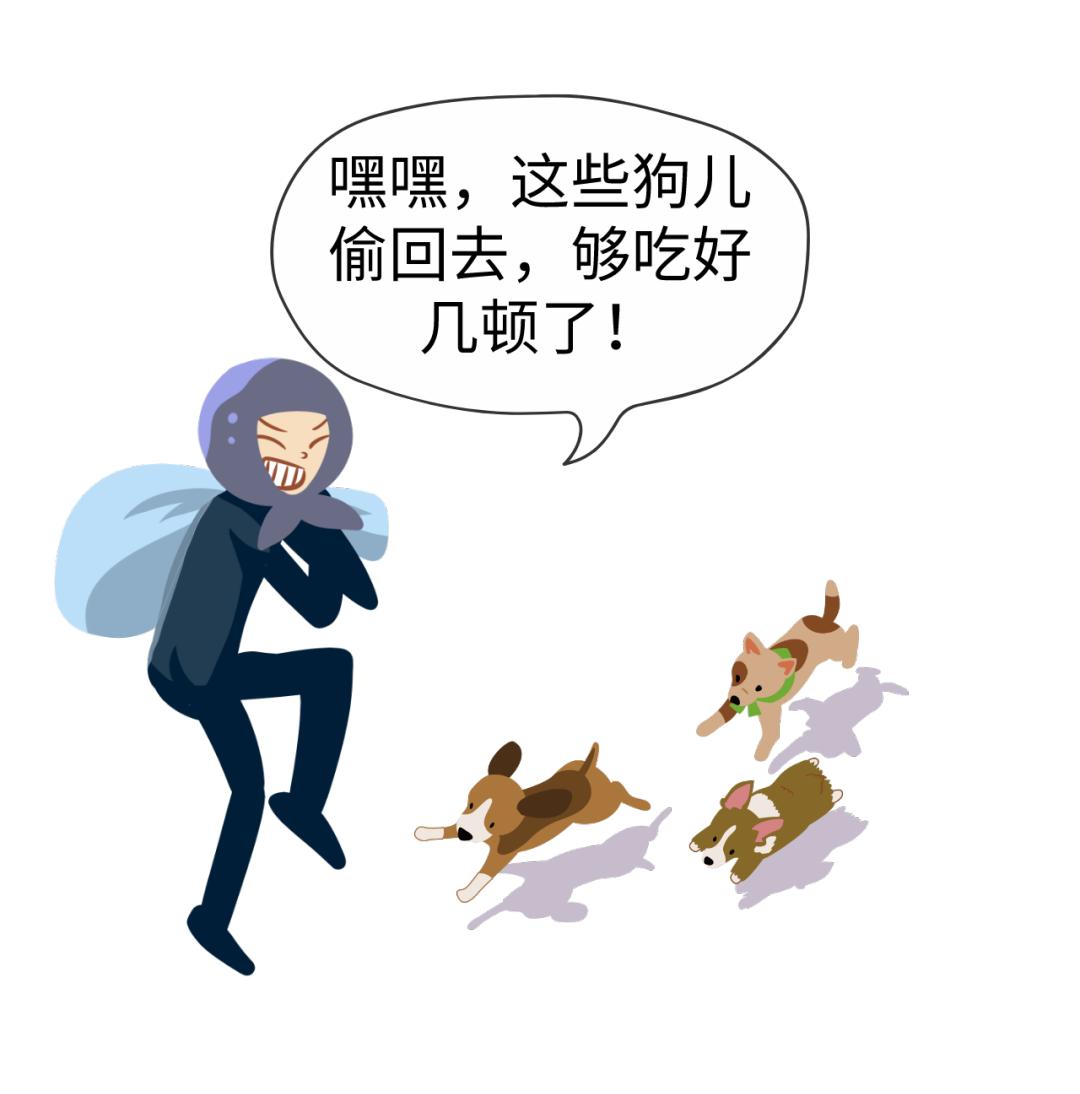 盗狗者服判受害人获赔