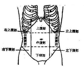 人体右下腹图片