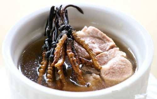 每周一膳—— 猪肺虫草汤